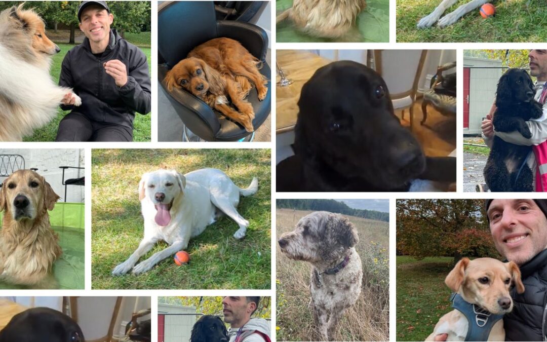 Muscle, Steps & Overeating