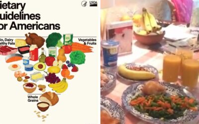 The New USDA FOOD Pyramid